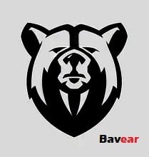 bear 9